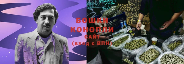 ALPHA PVP Верея