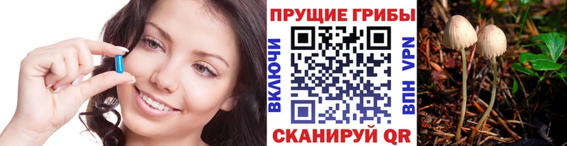Купить  Новый Оскол  Галлюциногенные грибы GOLDEN TEACHER 